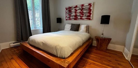 4½ + espace bureau à louer + cour arrière - BIEN LIRE - Photo 2