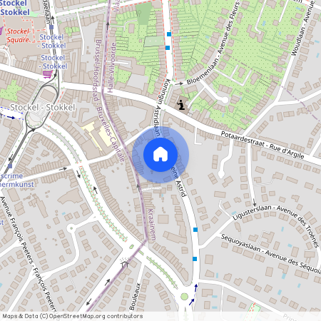 Avenue Reine Astrid 445, Sint-Pieters-Woluwe