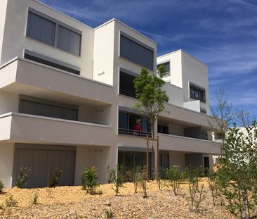 Location Appartement 2 pièces 45m² - Photo 6