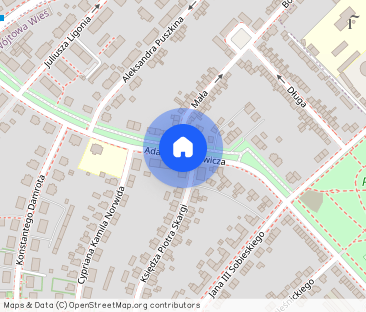 Gliwice Plac Grunwaldzki do wynajęcia mieszkanie 2 - Zdjęcie 1