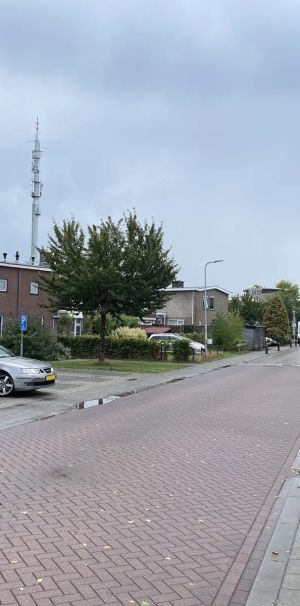 Maison Wilhelminastraat 11, Dedemsvaart - À louer - Foto 1