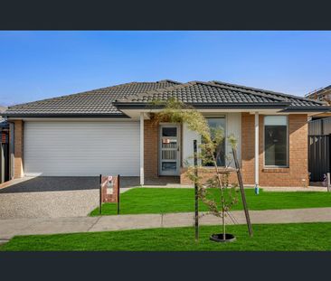 6 Danzig Street, Kalkallo, Vic 3064 - Photo 5