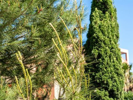 Apartamento de alquiler en Calle Moncayo, 20, Pinar del Advocat - Cometa - Photo 4