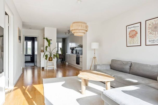 Astris Gata, Göteborg - Foto 1