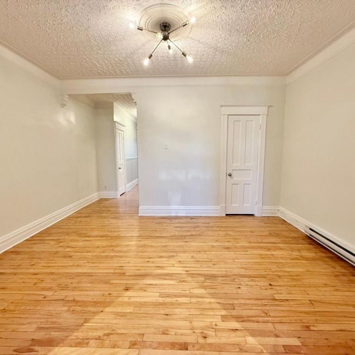 Appartement à louer - Montréal (Le Plateau-Mont-Royal) (Mile-End) - Photo 1