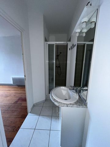 Location Appartement 1 pièce 25m² NANCY 54000 - Photo 2