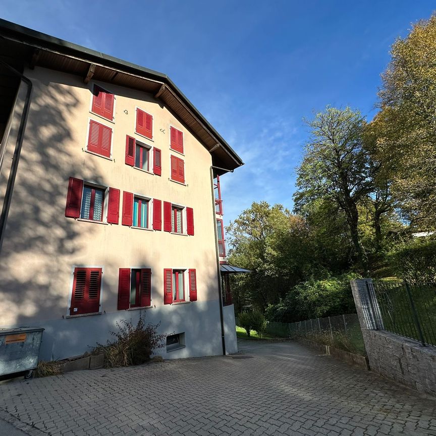 GRANDE APPARTAMENTO IMMERSO NEL VERDE - Foto 1