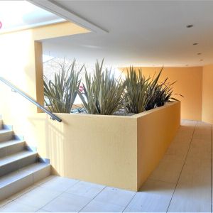 Location Appartement 2 pièces 50m² COGOLIN 83310 - Photo 2