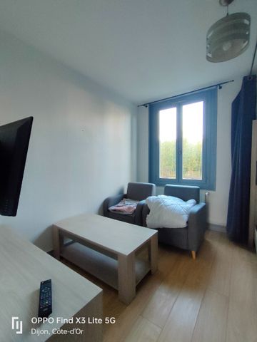 QUARTIER CHEVREUL-T1 BIS MEUBLE - Photo 2