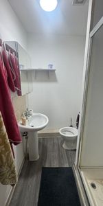 Studio Flat, The Dolphin Public House, E8 - Photo 4