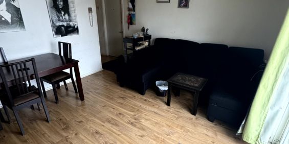 Logement à Louer 2 Chambres - Hull - Photo 3