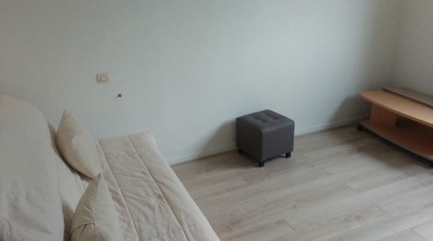 Location Appartement 1 pièce 19m² ORLEANS 45000 - Photo 1