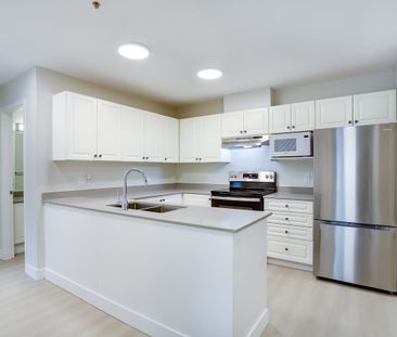 22334 117 Avenue apartment — Maple Ridge, BC (1-Bedroom) - 1 Bedroom - Photo 3