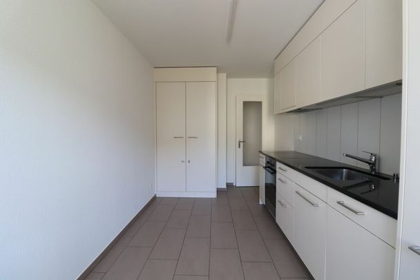 Leben an der Birs - moderne 3-Zimmerwohnung in Basel zu vermieten - Photo 1