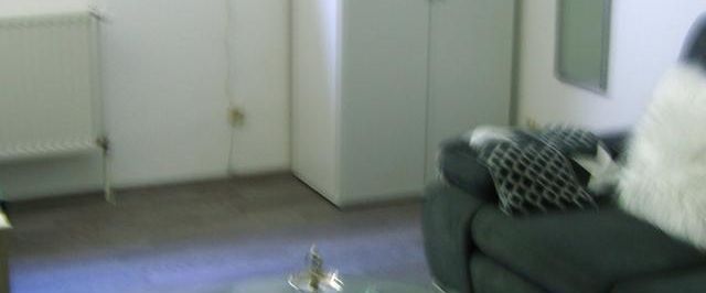 Löffelfertige Wohnung mit eigenem Eingang - Photo 1