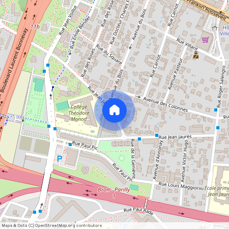 Rue Jean Jaurès, Francja, Bron