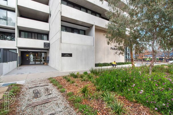 Spectacular 1-Bedroom Apartment in Campbell - Photo 1