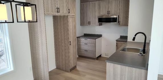 DISPONIBLE MAINTENANT ** Superbe 4 ½ Lebourgneuf, entièrement rénové - Photo 2