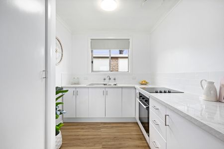 2/161 Bilba Street, East Albury NSW 2640 - Apartment For Rent | Domain - Photo 2