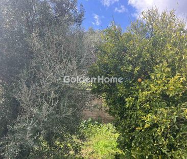 Μονοκατοικία 100 τ.μ. προς ενοικίαση - Photo 4