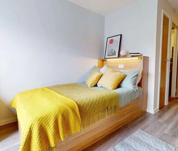 Bronze Studio Premium - Photo 5