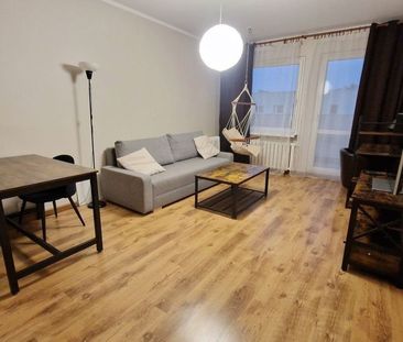 Od 1 sierpnia mieszkanie 50m2, 2 pokoje + balkon - Zdjęcie 2