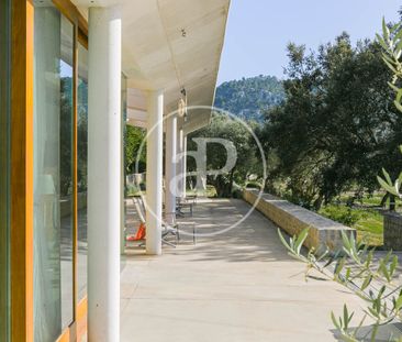 Villa for rent in Pollensa - Photo 4