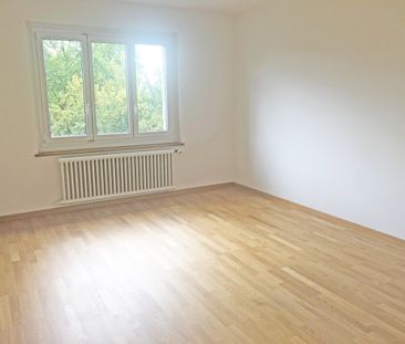 Zentral gelegene Wohnung an ruhiger Lage in Höngg - Foto 3