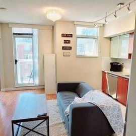 Pet Friendly Fully-Furnished 1 Bedroom + Den available - Photo 3