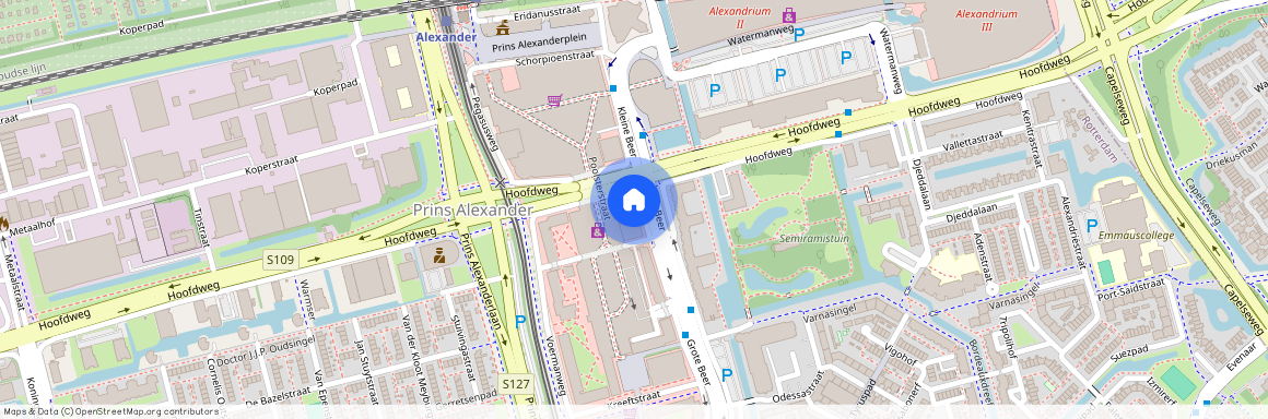 Grote Beer, 5, Rotterdam