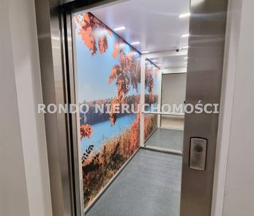 Wrocław, Stare Miasto - Zdjęcie 5