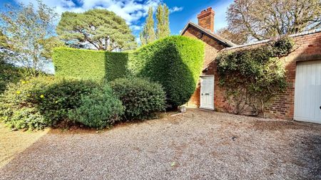2 bedroom House To Let - Photo 5