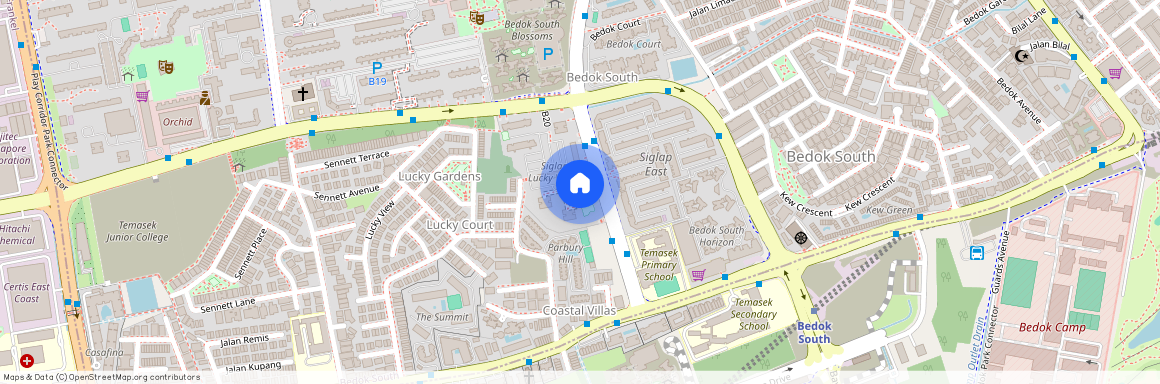 67 Bedok South Avenue 3 (460067), Singapore