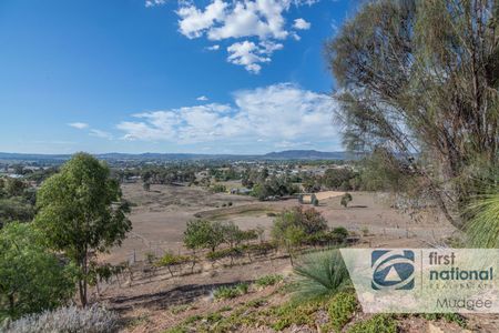 Best Views In Mudgee - Photo 2