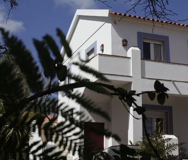 Rua das Flores - Photo 1