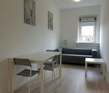 Chambre privée Dorpsweg, Rotterdam - À louer - Foto 2