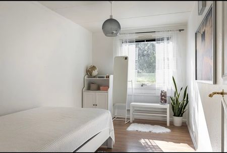 Tulpangatan, Malmö - Foto 4