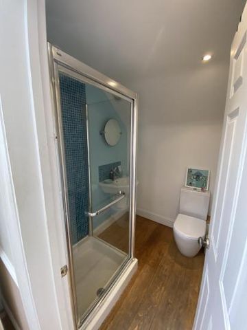 Spacious & light double room. Large family home close to Clapham South and Clapham Junction - Photo 4