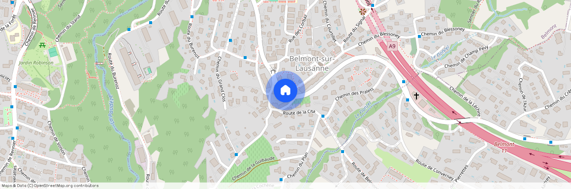 Rte des Monts-de-Lavaux 34, 1092 Belmont-sur-Laus, 1092 Belmont-sur-Lausanne