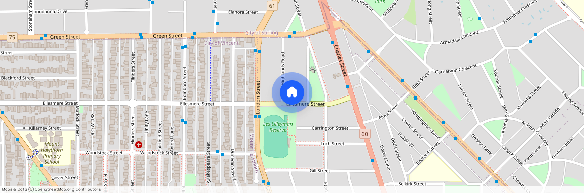 14 Ellesmere Street, WA 6006, North Perth