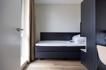 Appartement meublé De Veldwachter 47, Schagen - À louer - Photo 5