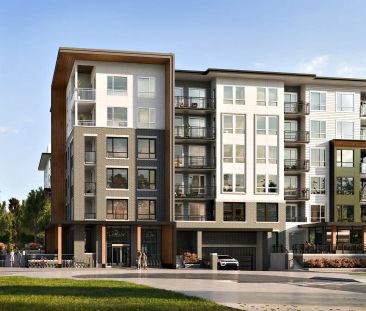 Avira — Cedar - C - Photo 2