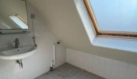 Elisabeth Gasthuishof, Leyde - Appartement 2 pièces meublé à louer - Photo 5