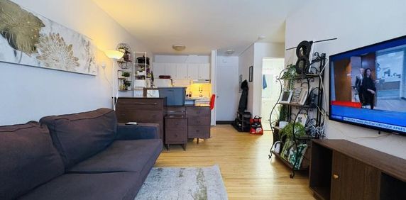 Appartement 3 ½ à louer Sainte-Foy / Sillery juillet 2026 - Photo 2