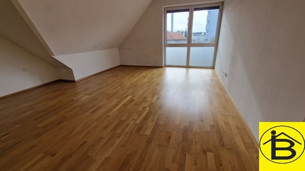 15454 NEUER PREIS! VIEL PLATZ! - Photo 1