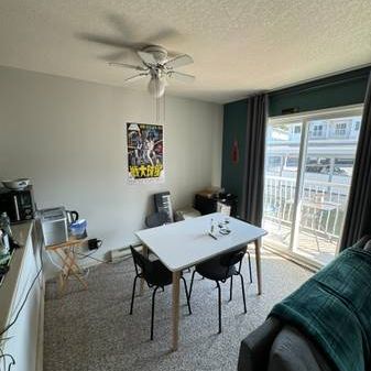 3 bed 1 bath near VIU - Photo 4