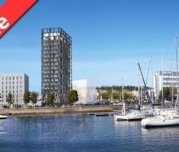 Location Appartement 1 pièce 23m² LE HAVRE 76600 - Photo 3