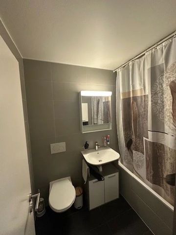 Magnifique appartement de 2.5 pièces au rez supérieur - Photo 4