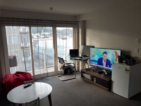 Wellington central 1 Bedroom Apartment - Photo 5