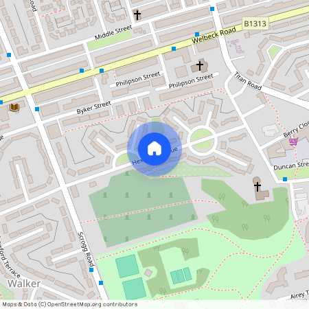 Hexham Avenue, Walker